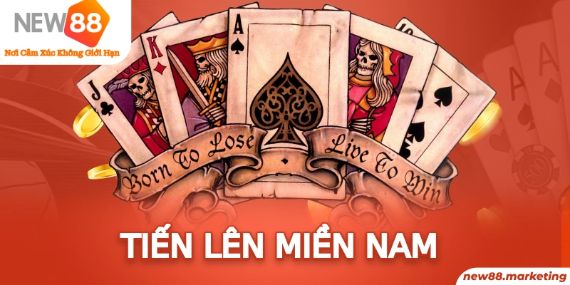 Tiến Lên Miền Nam Thể Lệ, Cách Chơi Cơ Bản Dành Cho Newbie 4 Tiến Lên Miền Nam